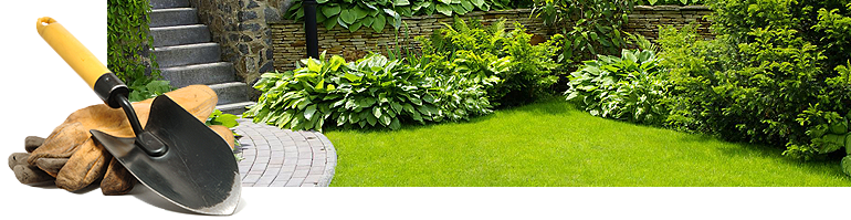 Lawn Life Cleveland Logo
