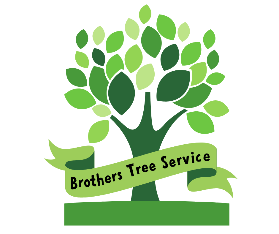 Brothers Tree Service