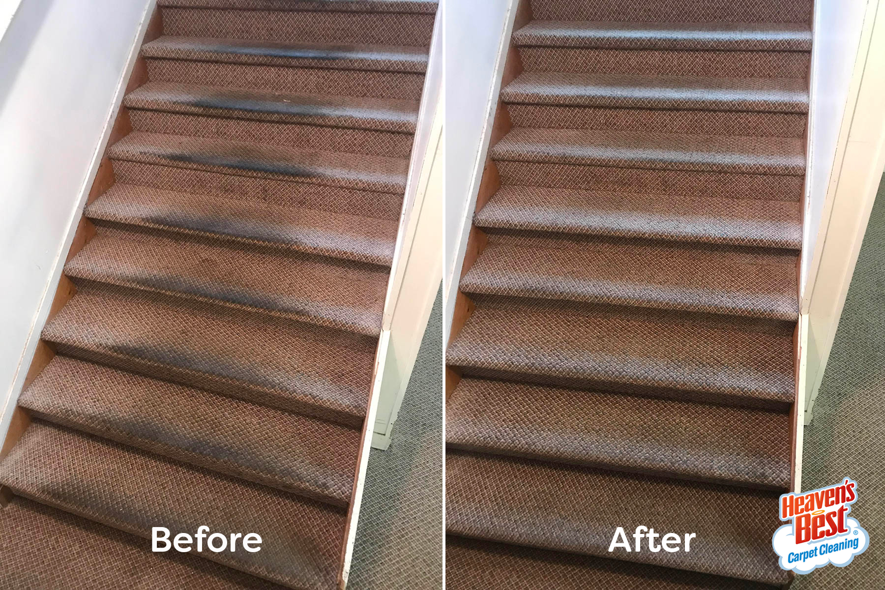 Heaven's Best Carpet Cleaning of St. Petersburg