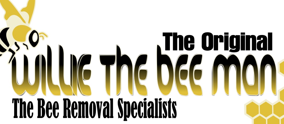 Willie The Bee Man Logo