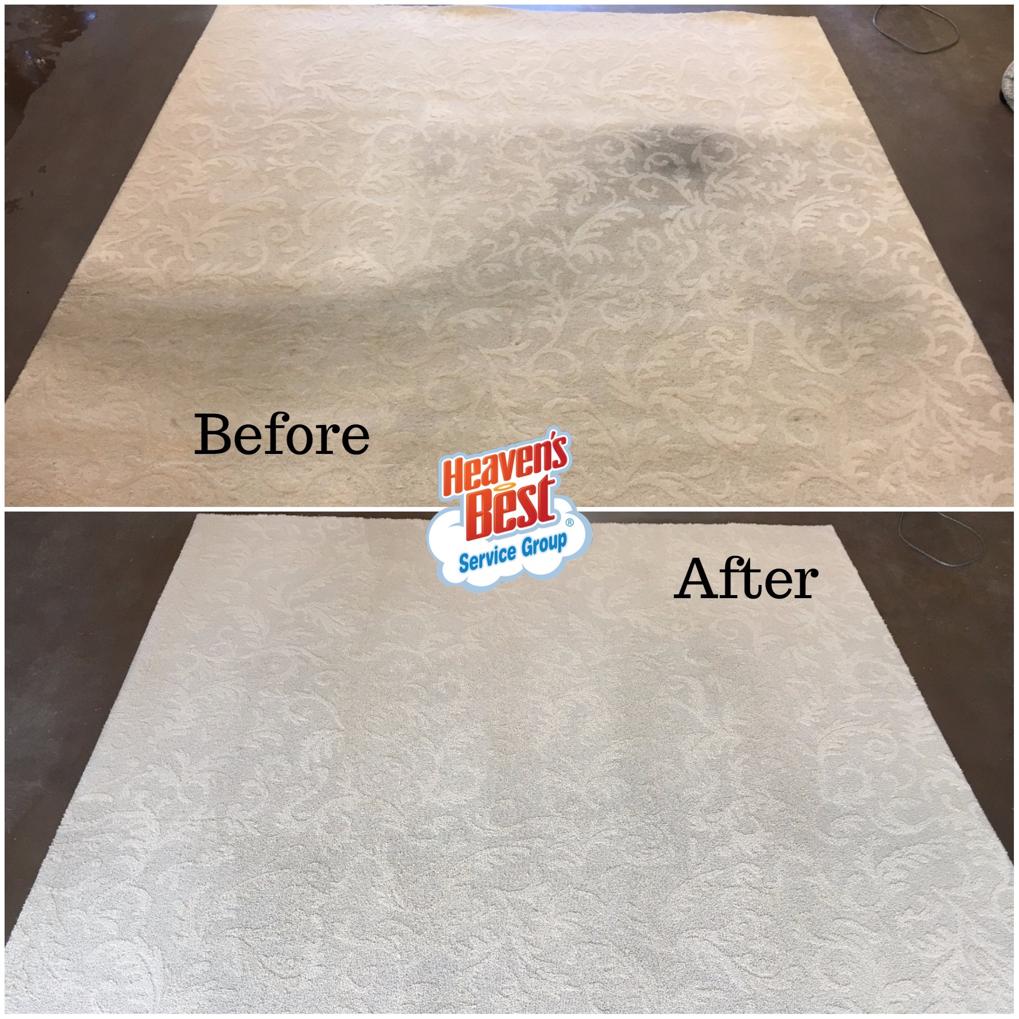 Heaven's Best Carpet Cleaning Tri-Cities WA