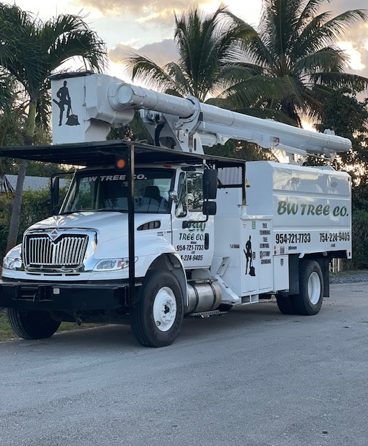 BW Tree Company LLC Logo