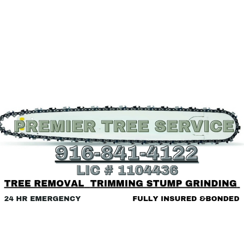 Premier Trees Service Inc