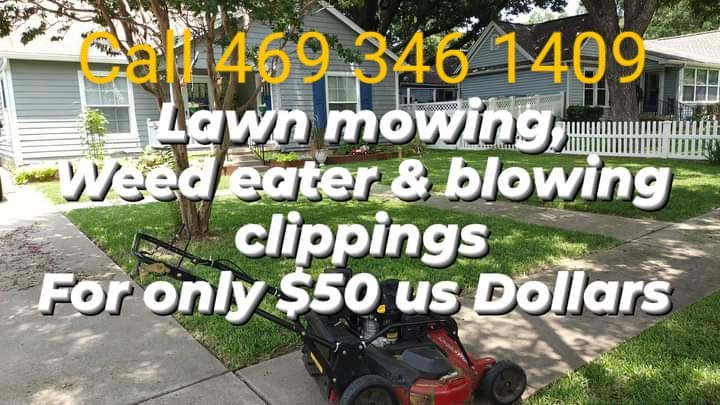 Meza Lawn Care Service