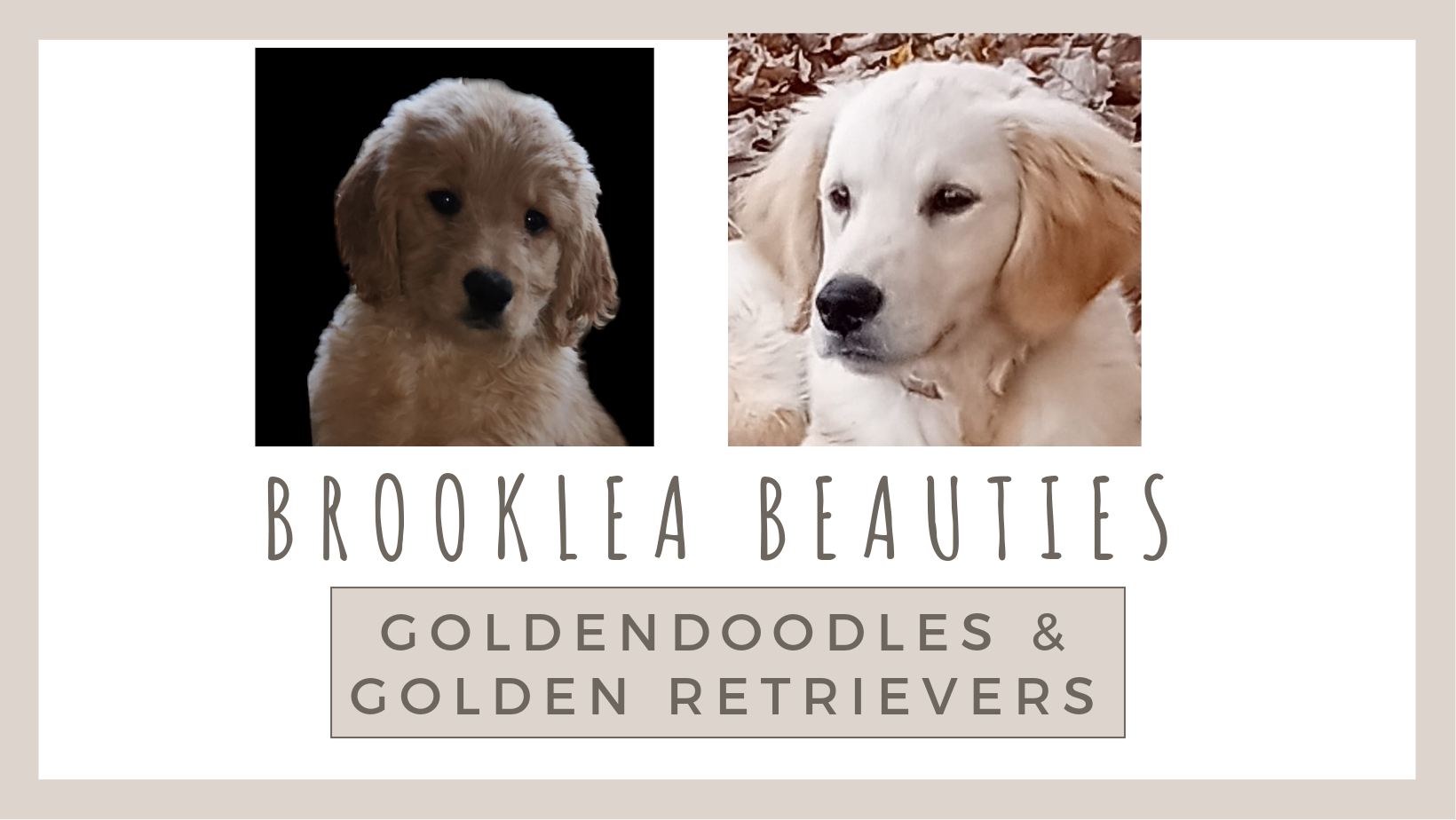 Brooklea Beauties Logo