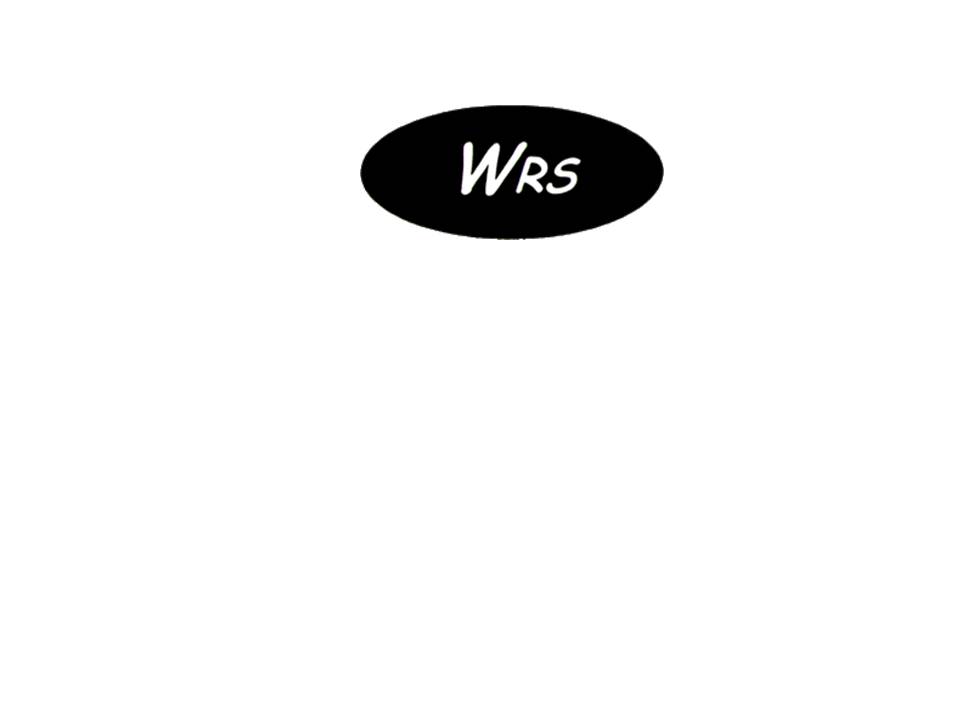 WRS Drain Cleaning Logo