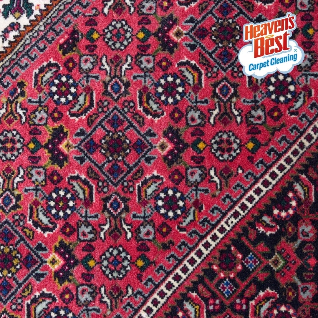 Heaven's Best Carpet Cleaning Dixon CA