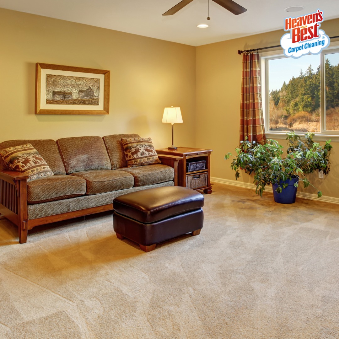 Heaven's Best Carpet Cleaning Breckenridge CO