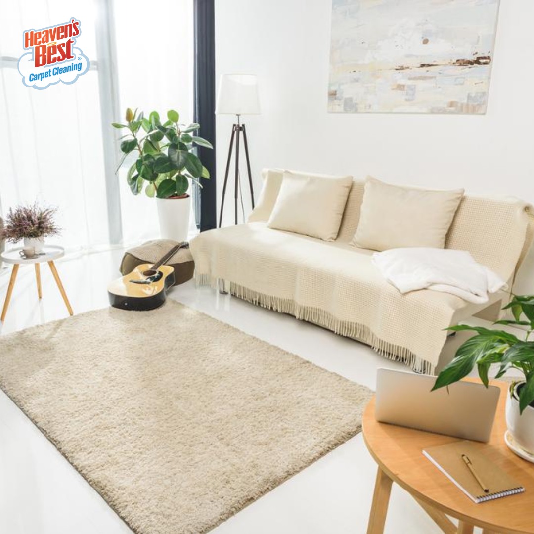 Heaven's Best Carpet Cleaning of Antioch