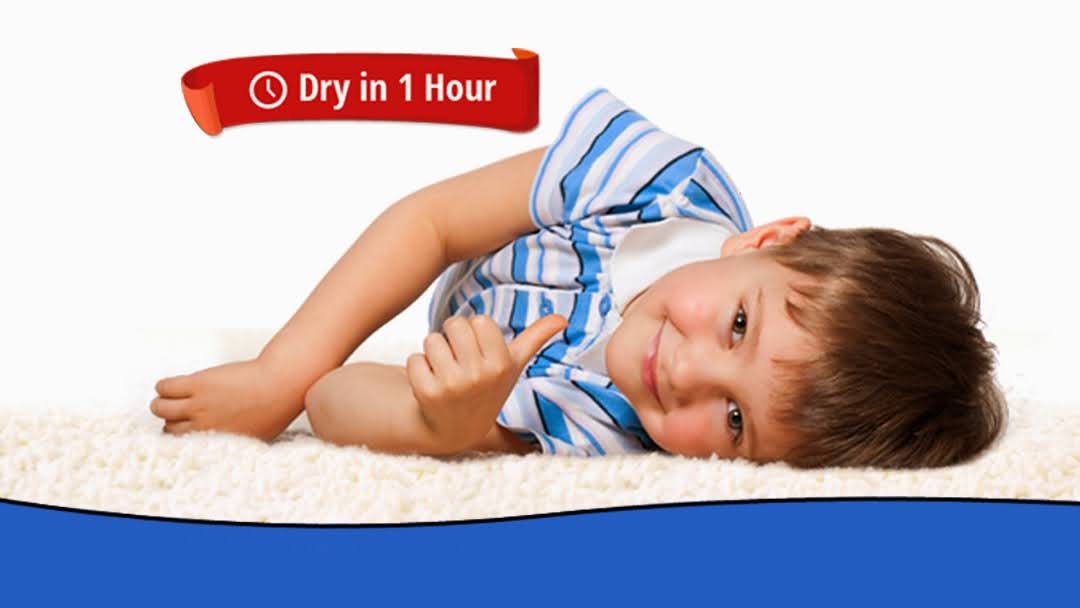 Heaven's Best Carpet Cleaning of East Bay