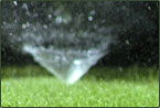 Sprinkler Detective