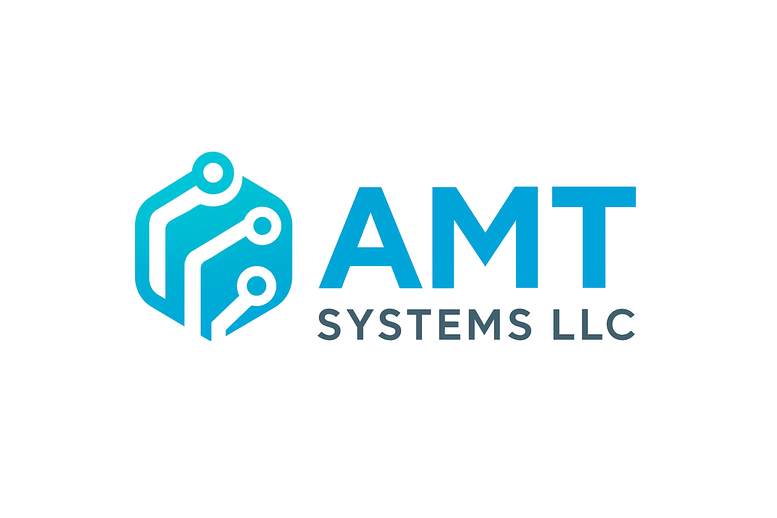 AMT Systems LLC