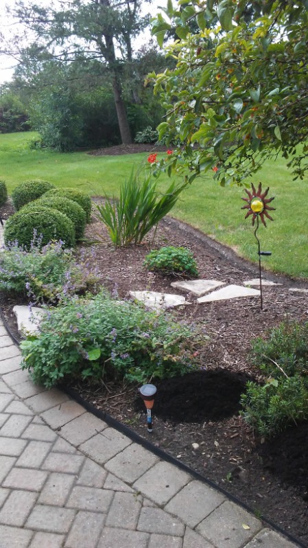 Anthony's Tree Service & Landscaping