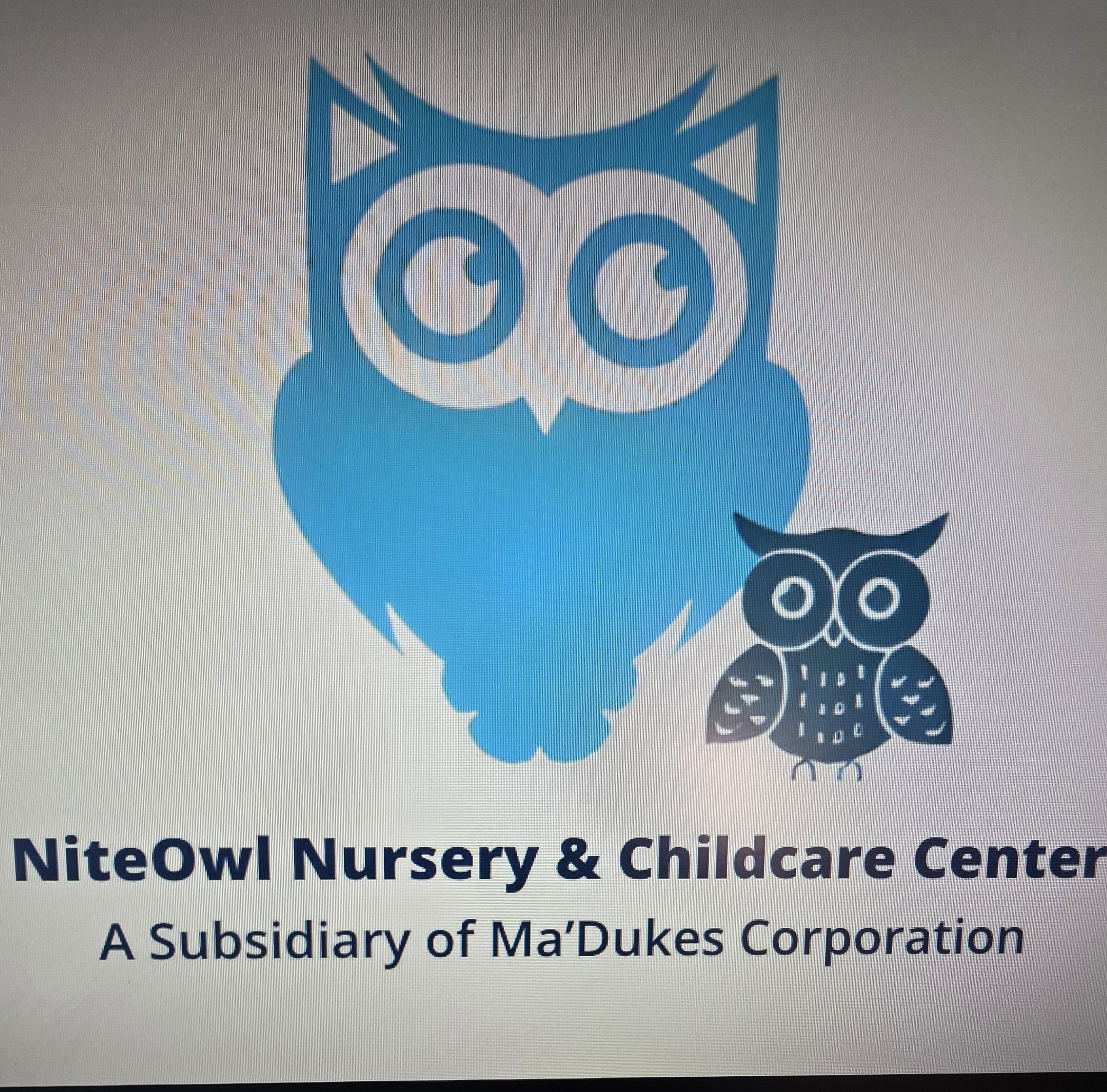 NiteOwl Nursery & Childcare Center