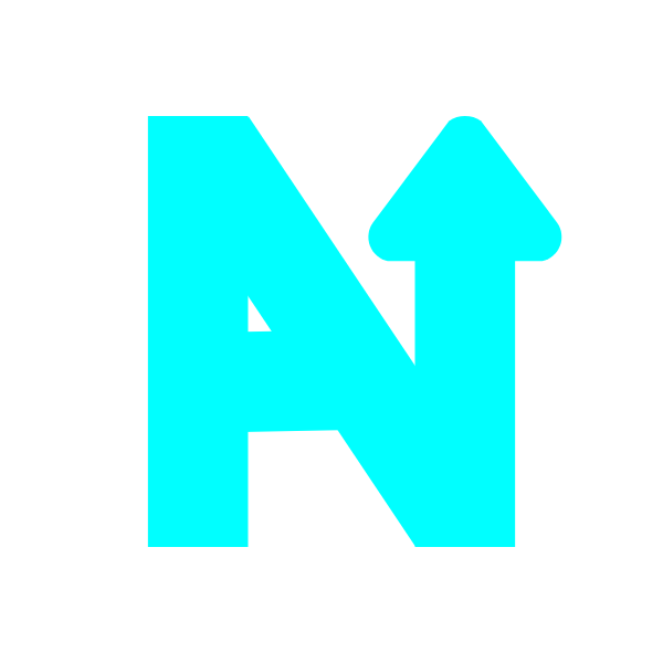 Next Advancement LLC Logo